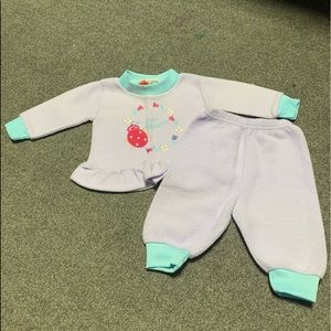 Lavender Ladybug Sweatshirt and Sweatpants Set